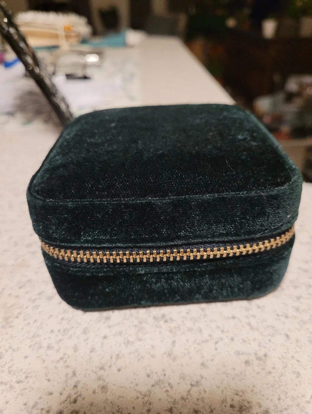 J. Crew Green Jewelry Travel Case with Cream Interior